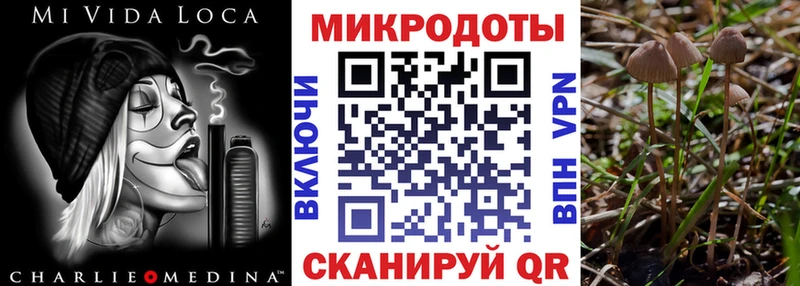 Купить  Спасск-Рязанский  Галлюциногенные грибы прущие грибы 